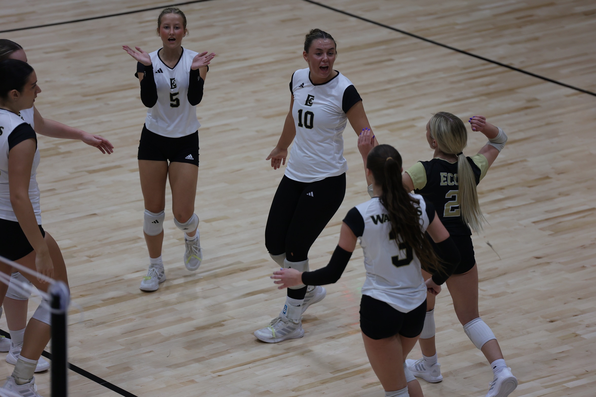 Warriors rally past Southwest Mississippi in five sets
