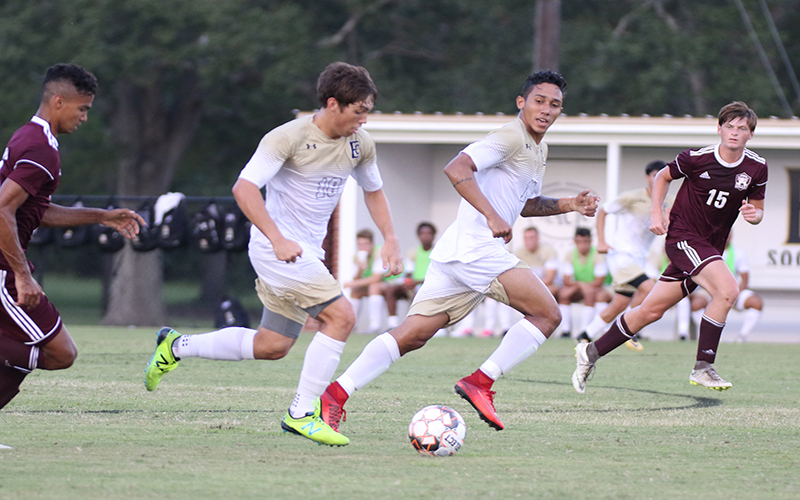 Warriors Erase 3-0 Deficit in Win Over Hinds